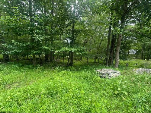 lot-224-alpine-section-Lot 224 Woodbine Dr, Terra Alta, WV, 26764 | Card Image