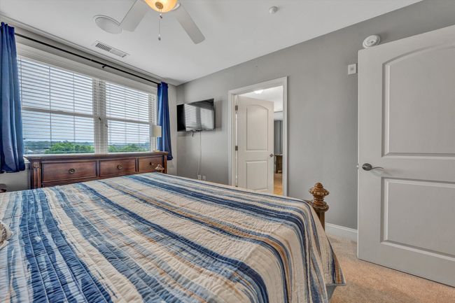 100 Bridgewater Pointe Place #401 (30) | Image 30