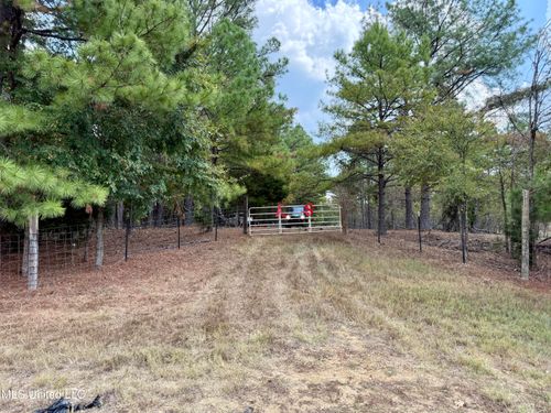 250 Mays Rd, Coldwater, MS, 38618-5695 | Card Image