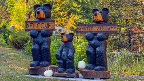 f33-F33 Nordic Village Ln, Bartlett, NH, 03812 | Card Image