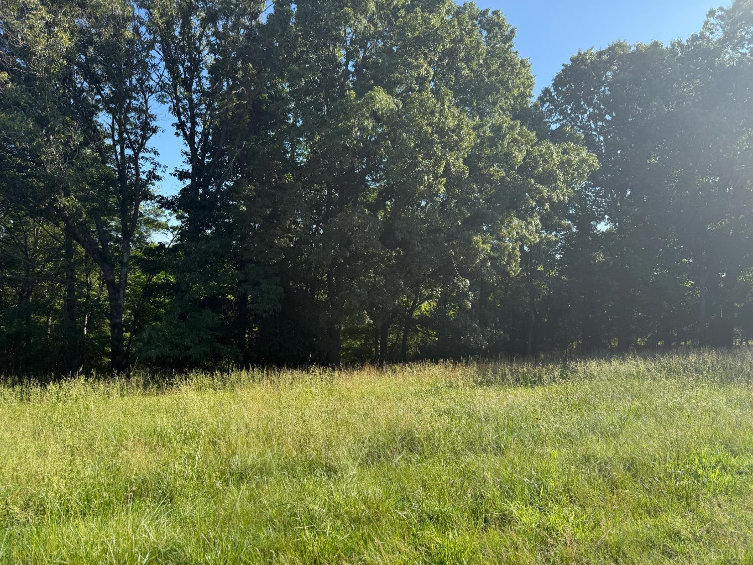 Land in Goode 2