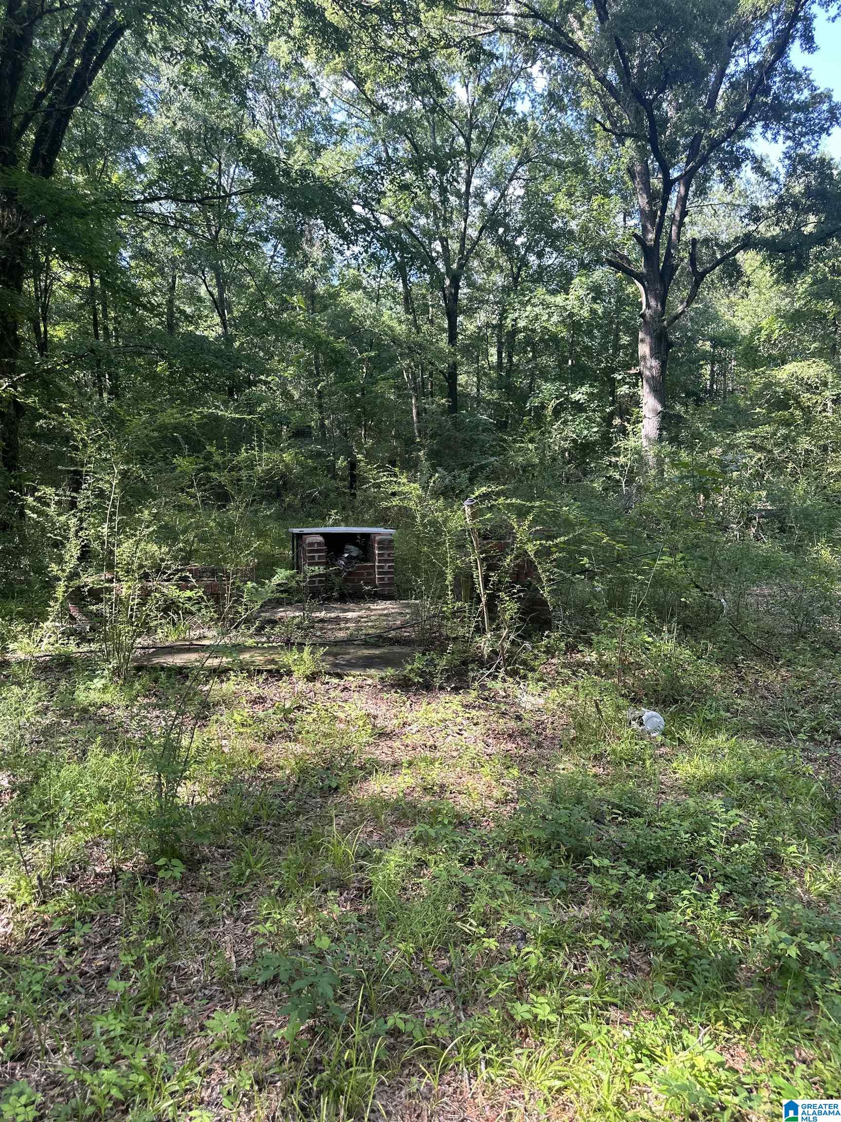 Land in COLUMBIANA