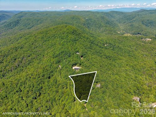 99999 Black Bear Ridge Trl, Zirconia, NC, 28790 | Card Image