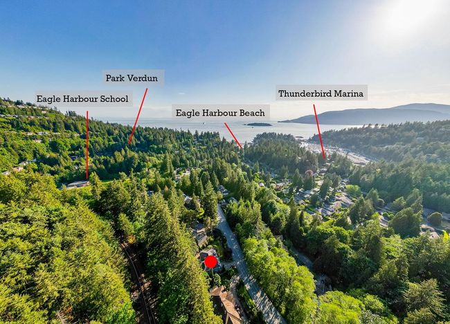 Aerial view of a forest and a nearby body of water | Image 28