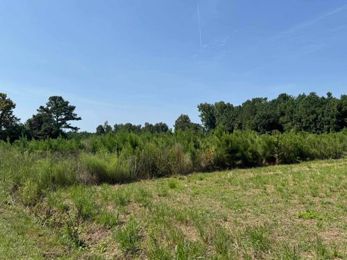 TBD Spring Branch Rd., Nichols, SC, 29581 | Card Image