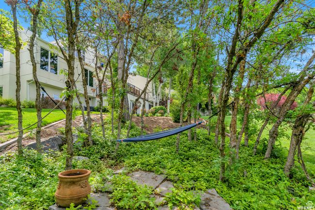View of yard | Image 82