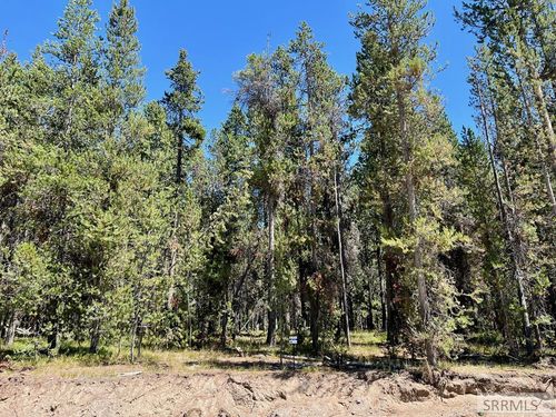 4370 Yeti Ln, Island Park, ID, 83429 | Card Image