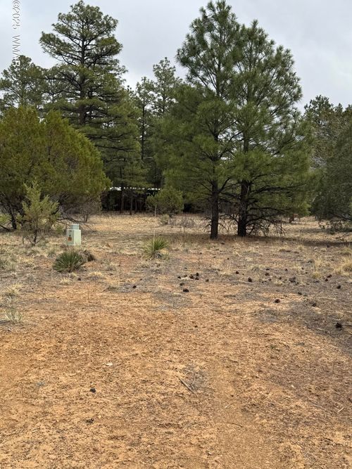 4610 W Hawthorn Rd, Show Low, AZ, 85901-3760 | Card Image