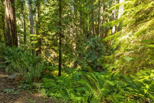 33170 Frog Pond Rd, Little River, CA, 95456 | Card Image