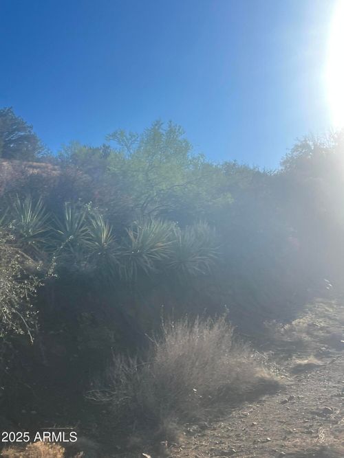 90-XX Black Peak Rd, Globe, AZ, 85501 | Card Image