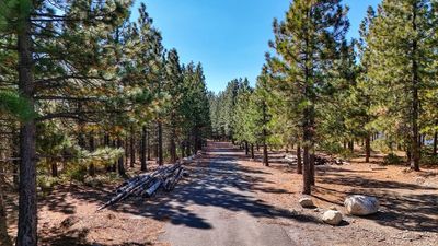 Driving on the paved road. View on the right beyond the Tree line. | Image 3