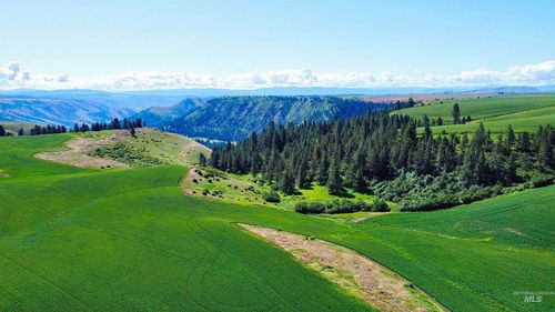 TBD Basket Rd, Nezperce, ID, 83543 | Card Image