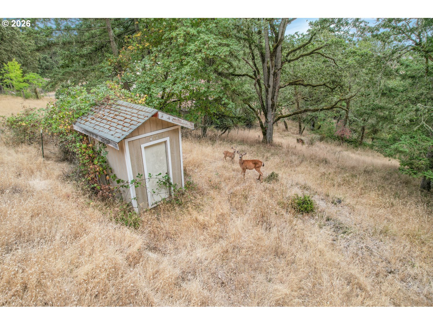 Land in Brownsville 5