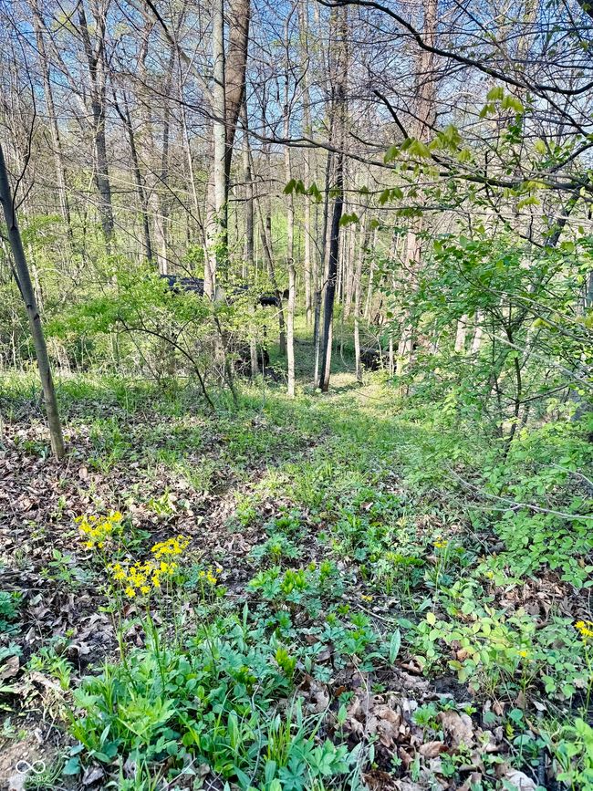 4209 E County Road 50 S, House other with 4 bedrooms, 4 bathrooms and null parking in Fillmore IN | Image 40