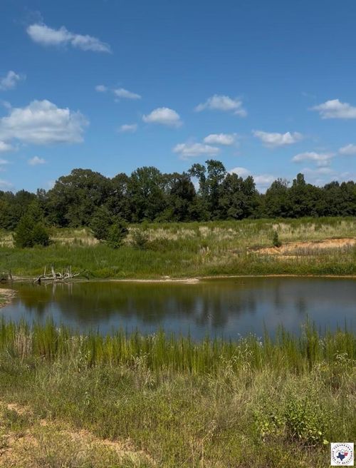 243 Cr 2513, Naples, TX, 75568 | Card Image
