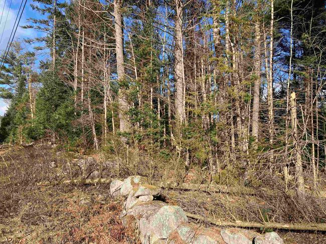 lot 5 Nh Route 4a, Home with 0 bedrooms, 0 bathrooms and null parking in Grafton NH | Image 20