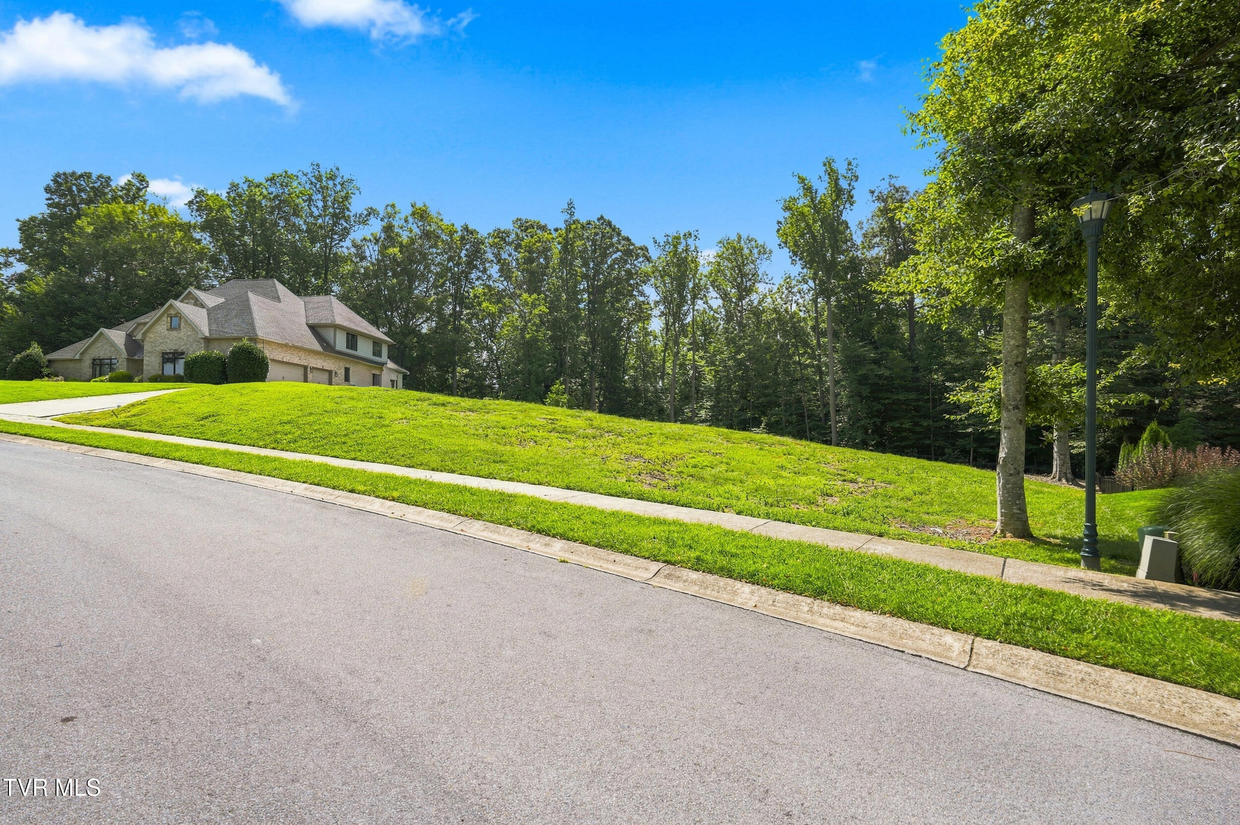 Land in Johnson City 2