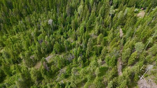 XXXX Cedar Creek Rd, Colville, WA, 99114-0000 | Card Image