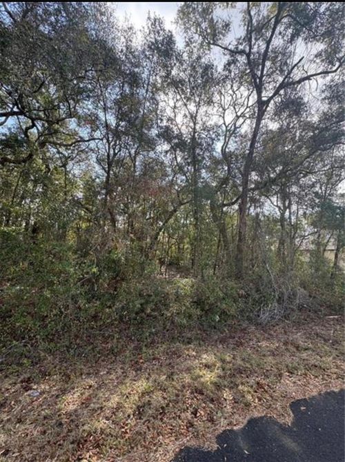 TBD Locust Lane Ter, OCALA, FL, 34472 | Card Image
