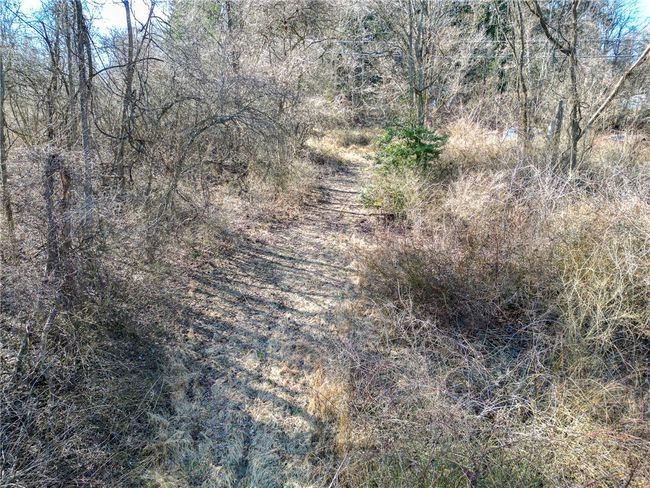 Parcel extends towards long driveway to left. | Image 11
