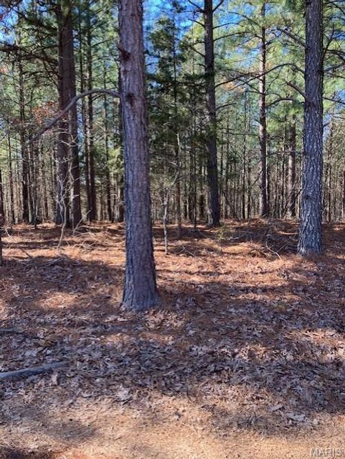 199 Madison St, Fredericktown, MO, 63645 | Card Image