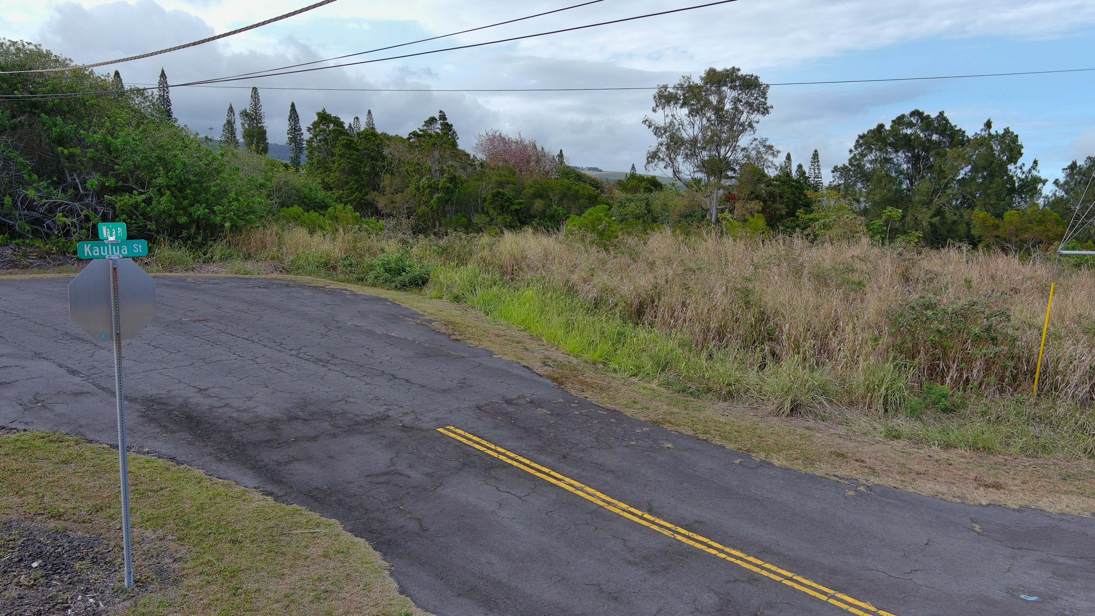 Land in Naalehu 3