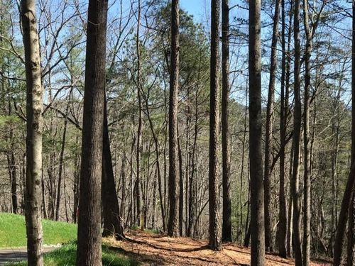 0 Carters View Dr, ELLIJAY, GA, 30540 | Card Image