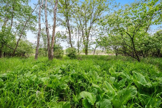 Lt1 County Highway E, Home with 0 bedrooms, 0 bathrooms and null parking in Hartford WI | Image 4