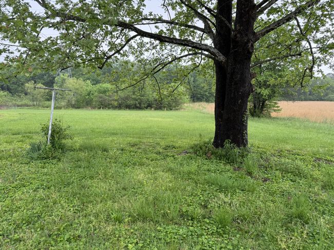 1837 Spring Creek Rd, Home with 0 bedrooms, 0 bathrooms and null parking in Estill Springs TN | Image 5