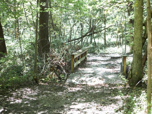 4 MILES OF GROOMED TRAILS | Image 19