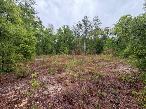 301 Rainbow Dr, Hawthorne, FL, 32640-4601 | Card Image