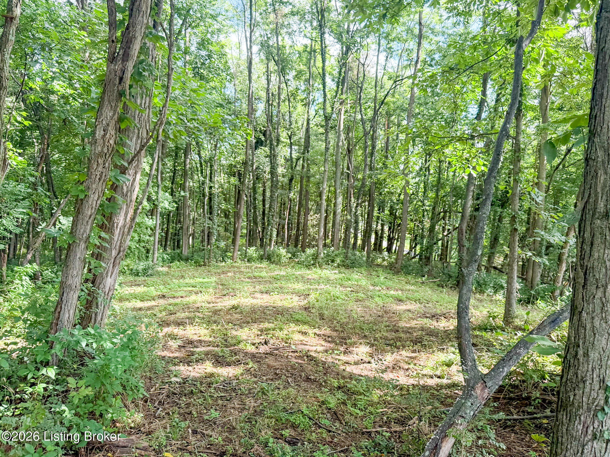 Land in Shelbyville 4