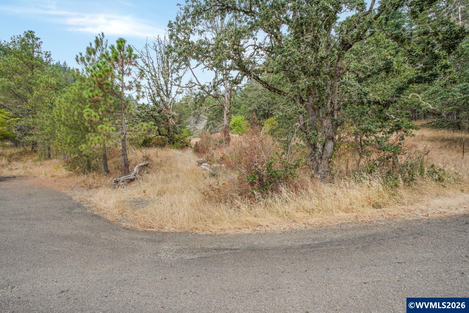 Land in Brownsville 5