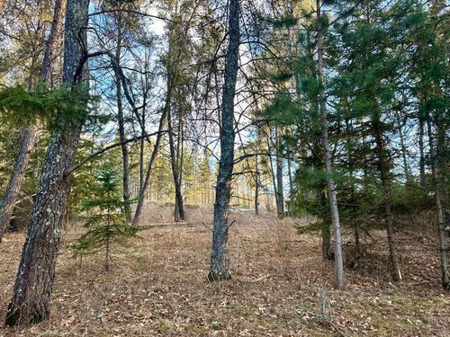 TBD E Blueberry River Dr, Menahga, MN, 56464 | Card Image