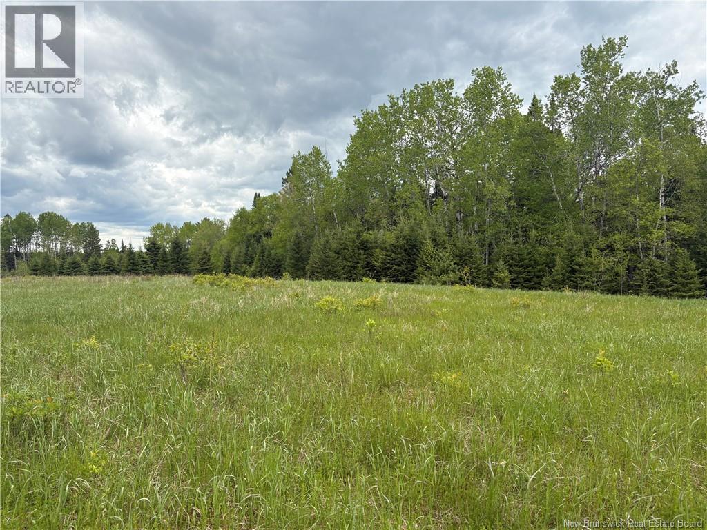 Land in Burtts Corner 4