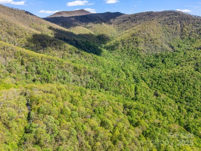 8 White Birch Ct, Home with 0 bedrooms, 0 bathrooms and null parking in Black Mountain NC | Image 5