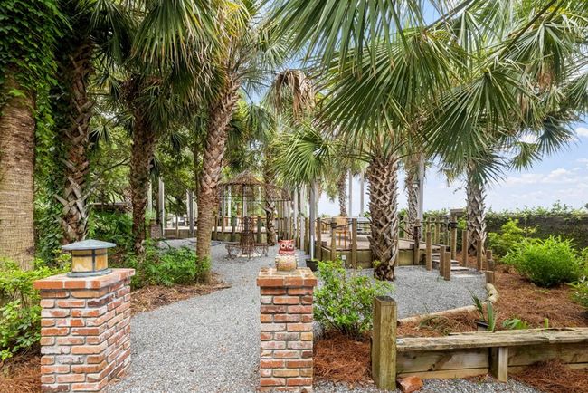 walk way through garden | Image 31
