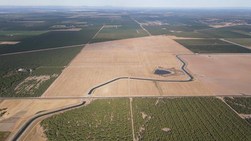 2507 S Escalon Bellota Rd, Farmington, CA, 95230 | Card Image