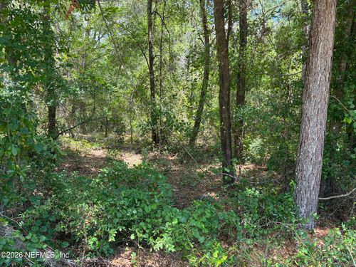 218 Beecher Springs Rd, Pomona Park, FL, 32181-2342 | Card Image