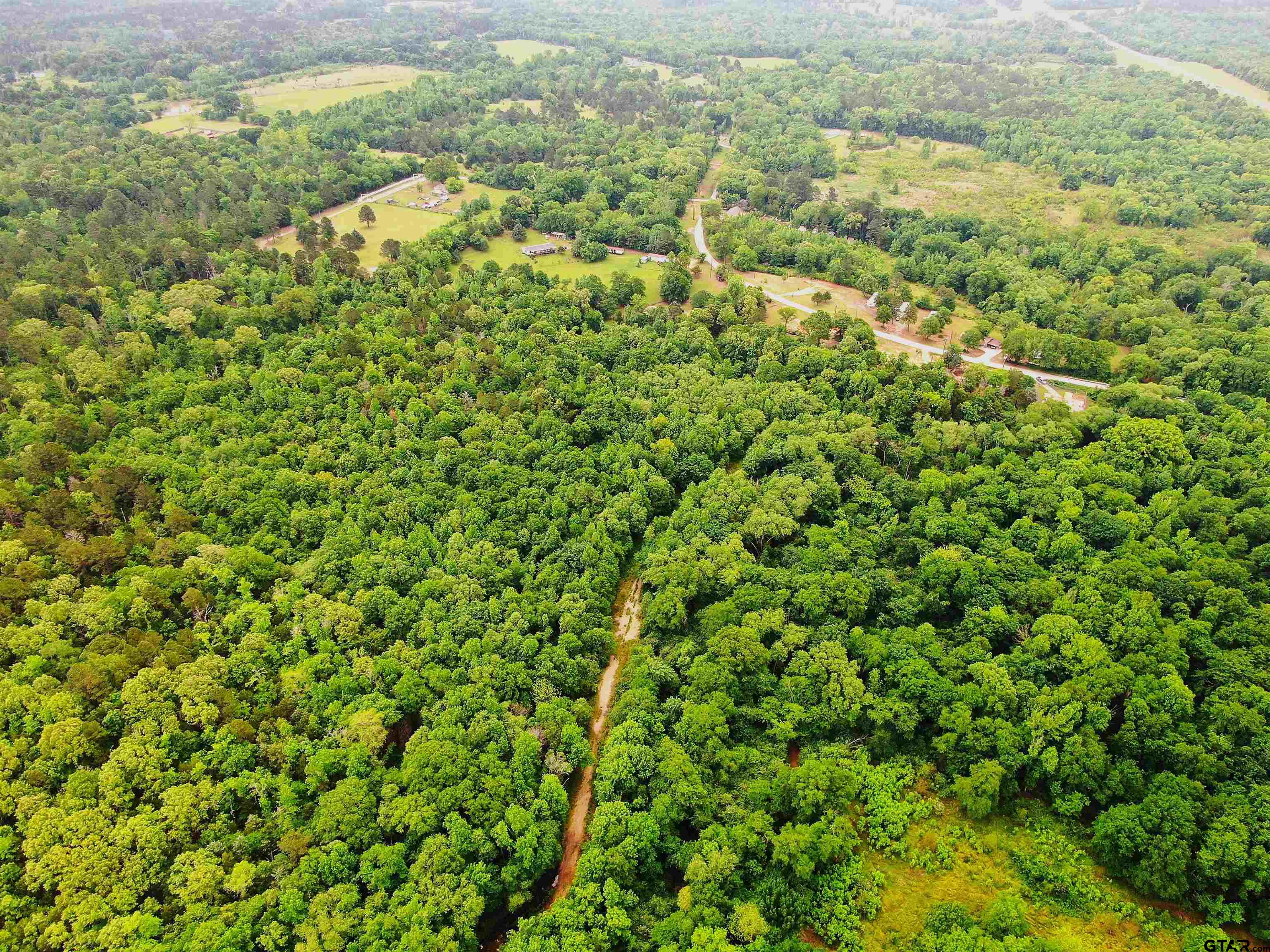 Land in Tyler 3