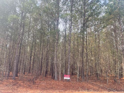 125 Roper Circle, Orangeburg, SC, 29115 | Card Image