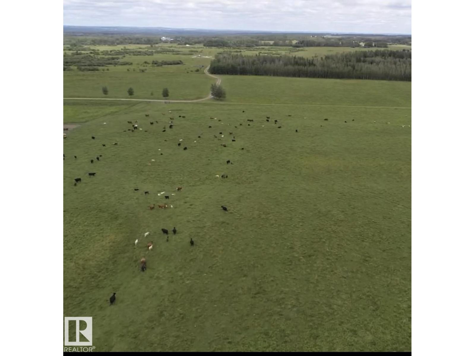 Land in Rural Brazeau County 3