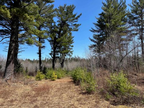 2955 County Road Cd, Ishpeming, MI, 49849-9303 | Card Image