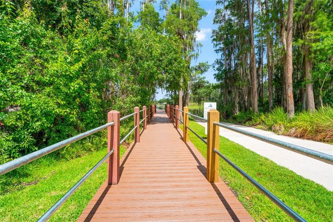 104 - 1936 Heron Cove Dr, Condo with 2 bedrooms, 2 bathrooms and null parking in Lutz FL | Image 45