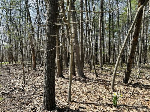 239-6718 Beechnut Ridge, Canadian Lakes, MI, 49346 | Card Image