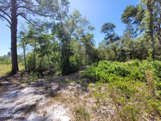 2155 State Road 40, Home with 0 bedrooms, 0 bathrooms and null parking in De Leon Springs FL | Image 73