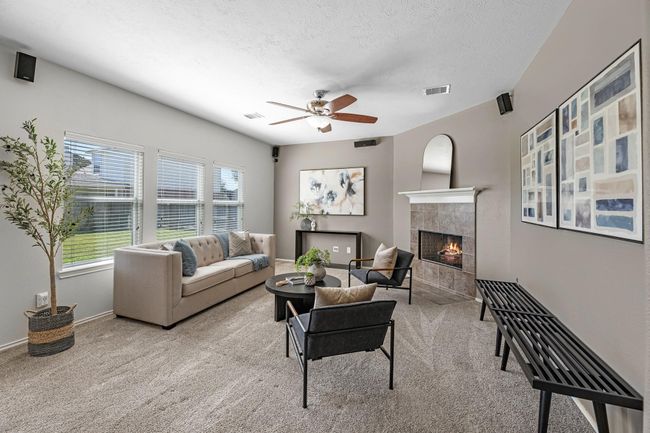 Living room - very bright! | Image 9
