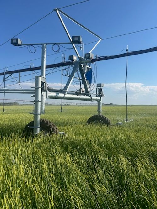 NHN 1st Rd S, Fort Shaw, MT, 59443 | Card Image