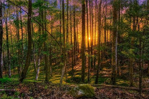 Lot 26 Estates Drive, Ellijay, GA, 30536 | Card Image