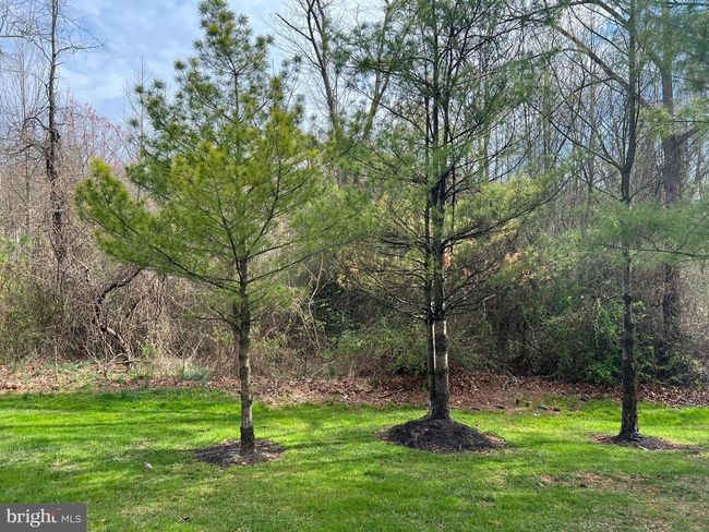 14 Brighton Pl, House other with 3 bedrooms, 2 bathrooms and null parking in WOOLWICH TWP NJ | Image 50
